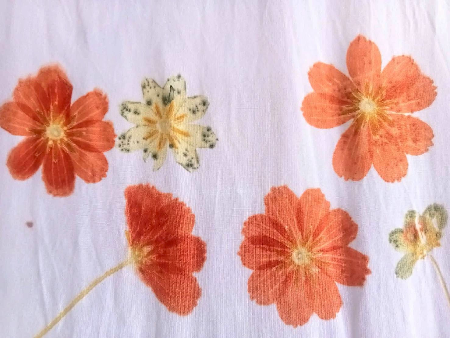 Koh Yao Batik painting