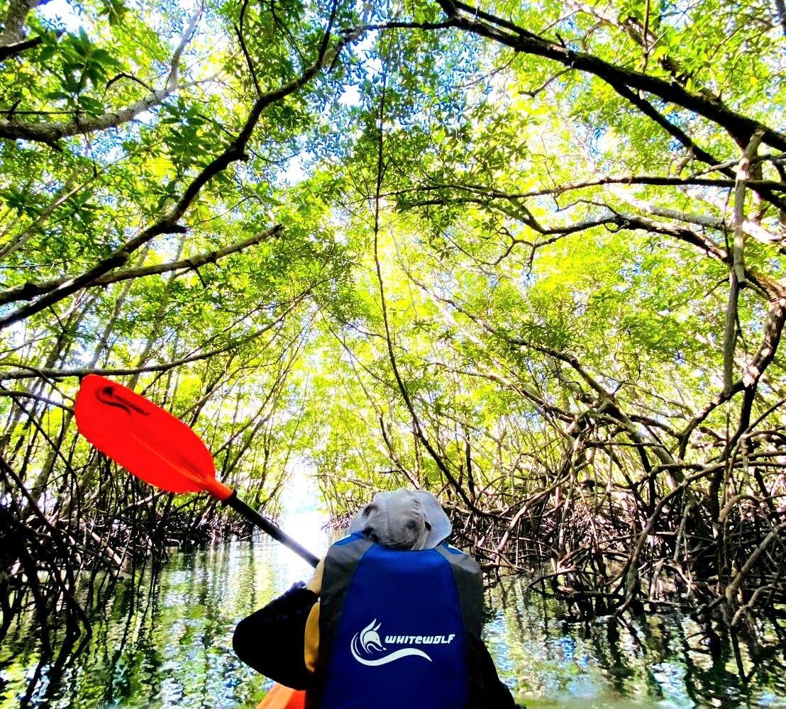 koh yao yai kayaking tours 2