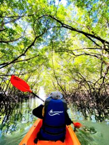 koh yao yai kayaking tours