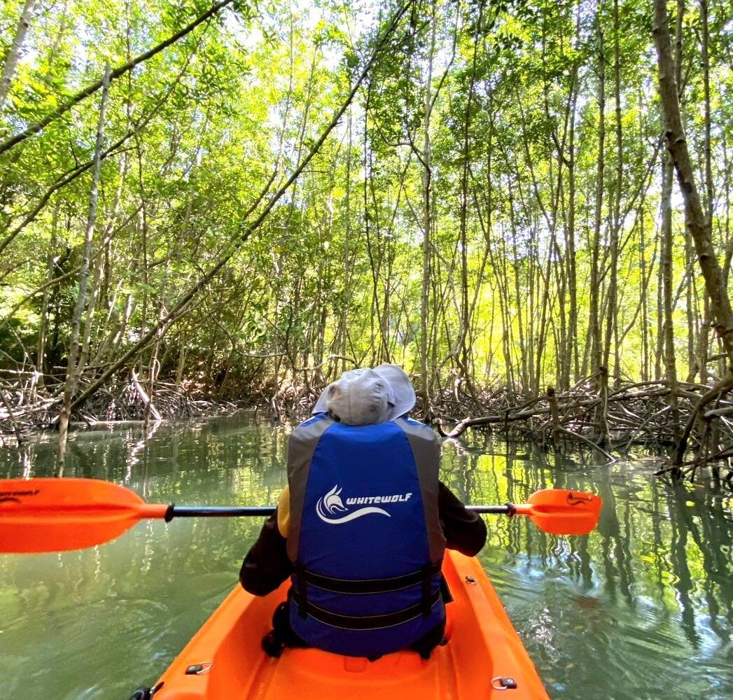 koh yao yai kayaking tours 4