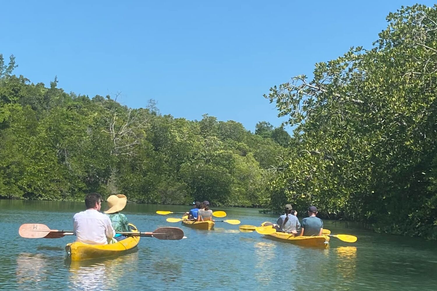 koh yao yai kayaking tours 8