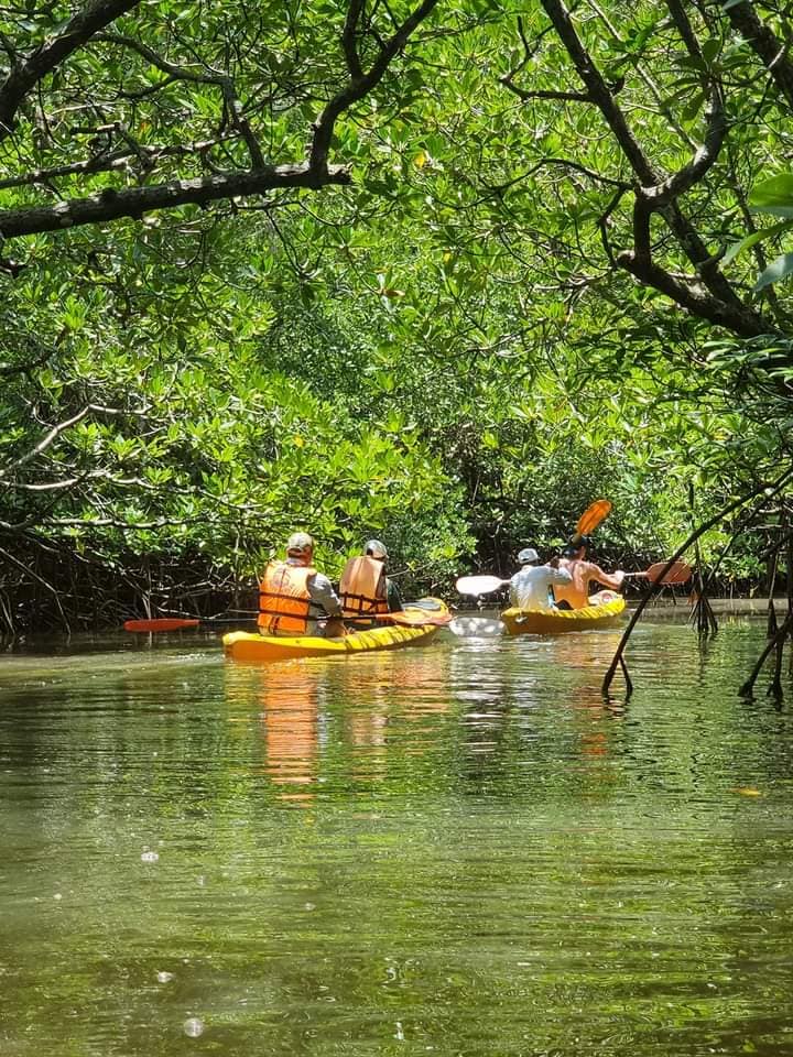 koh yao yai kayaking tours 9